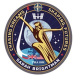 Brightman ISS mission patch
